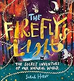 The_firefly_s_light